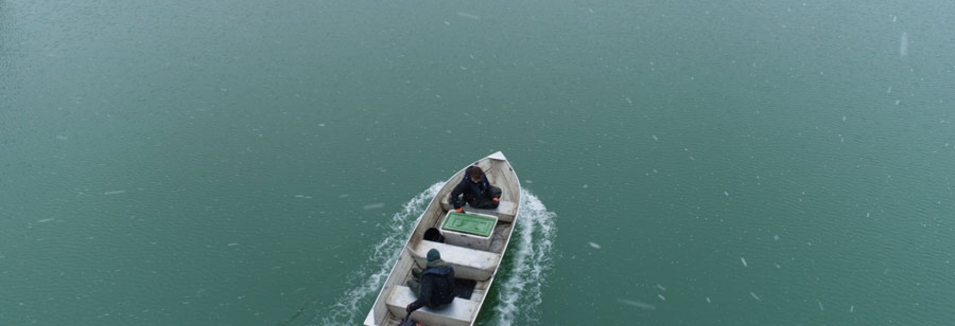 Fischfauna: Hechte für den Galgenbergsee